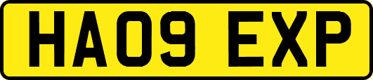 HA09EXP
