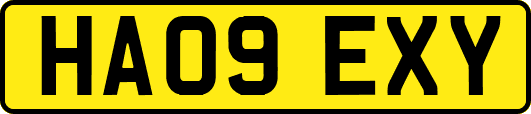 HA09EXY