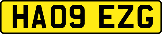 HA09EZG