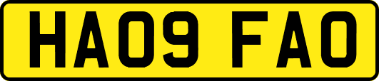 HA09FAO