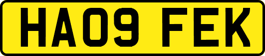 HA09FEK