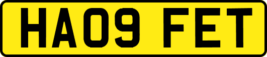 HA09FET