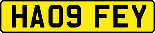 HA09FEY