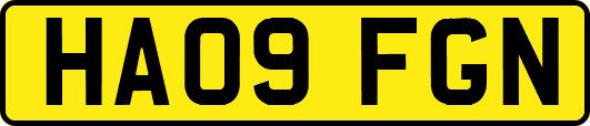 HA09FGN