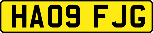 HA09FJG
