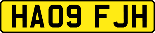 HA09FJH