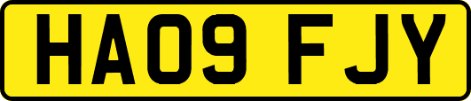 HA09FJY