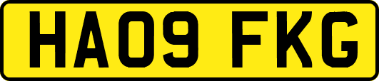 HA09FKG