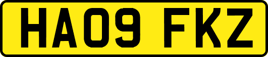 HA09FKZ