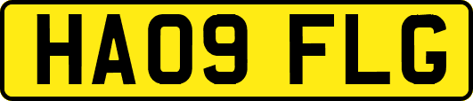 HA09FLG