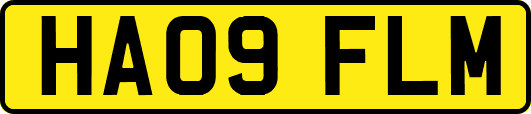 HA09FLM