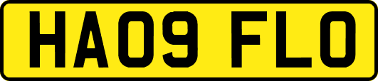 HA09FLO