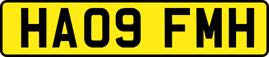 HA09FMH