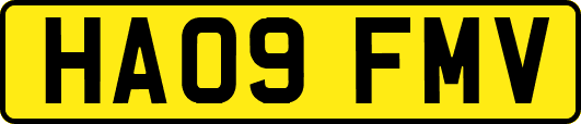 HA09FMV