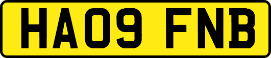 HA09FNB
