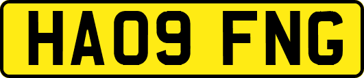 HA09FNG