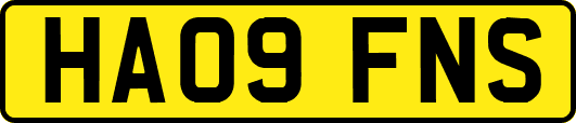 HA09FNS