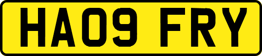 HA09FRY