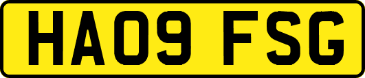 HA09FSG