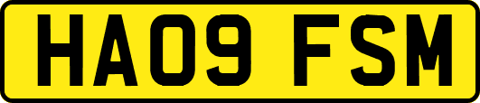 HA09FSM