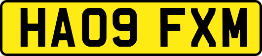 HA09FXM