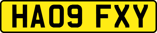 HA09FXY