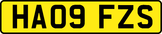 HA09FZS