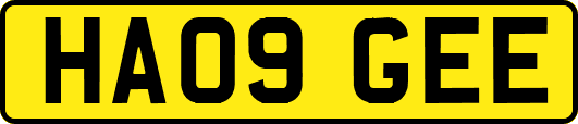 HA09GEE