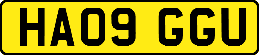 HA09GGU