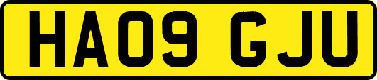 HA09GJU