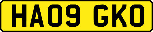 HA09GKO