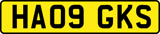 HA09GKS
