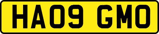 HA09GMO