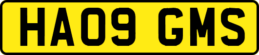 HA09GMS