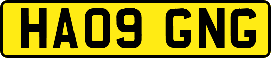 HA09GNG