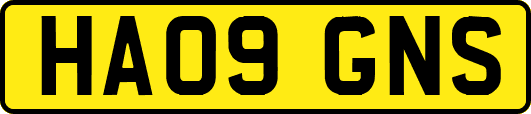 HA09GNS