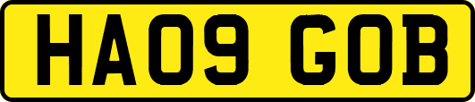 HA09GOB
