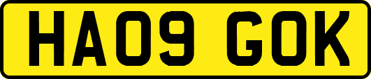 HA09GOK
