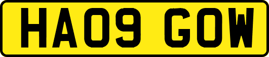 HA09GOW