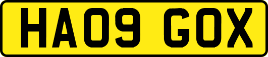 HA09GOX