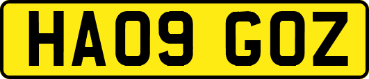 HA09GOZ