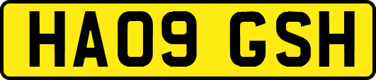 HA09GSH