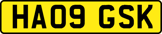 HA09GSK