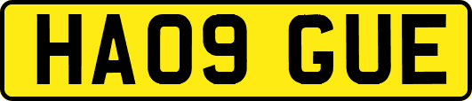HA09GUE