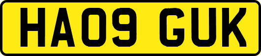 HA09GUK