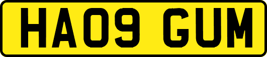 HA09GUM