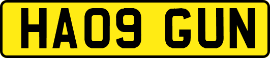 HA09GUN