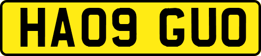 HA09GUO