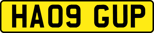 HA09GUP
