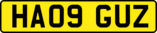 HA09GUZ